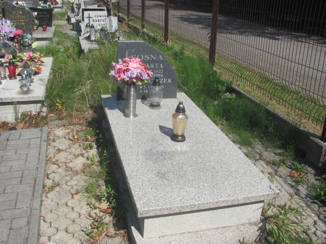 Grób Franciszek Sosna