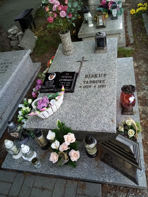 Grażyna MACIEJEWSKA 1959 Knurów - Grobonet - Wyszukiwarka osób pochowanych