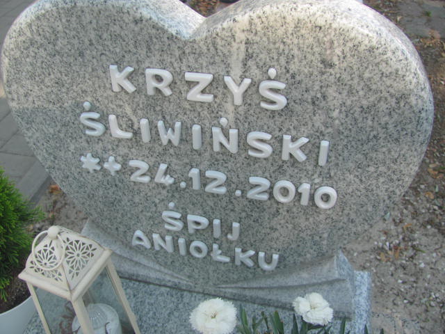 Krzysztof Sliwiński 2010 Knurów - Grobonet - Wyszukiwarka osób pochowanych
