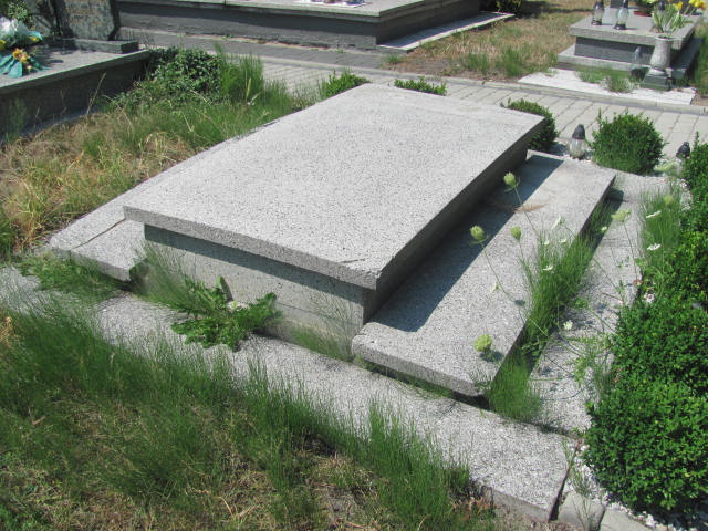 Grób Ludwik Palenga