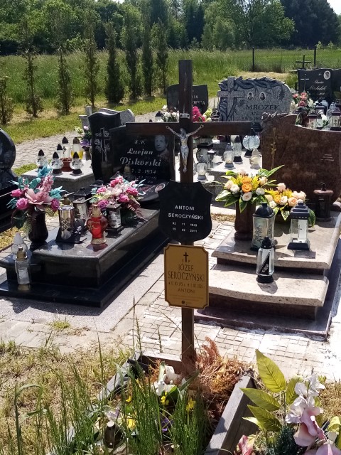 Józef SEROCZYŃSKI  1951 Knurów - Grobonet - Wyszukiwarka osób pochowanych