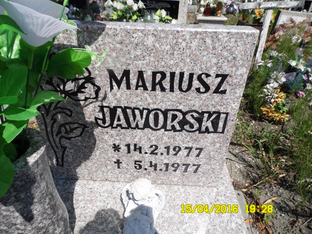 Mariusz Jaworski 1977 Knurów - Grobonet - Wyszukiwarka osób pochowanych