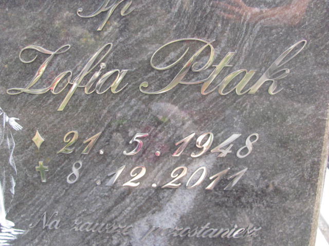 Zofia Ptak 1949 Knurów - Grobonet - Wyszukiwarka osób pochowanych